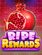 databet88 ดี ไหม? มาดูวิธีเล่นและความสนุกกันเถอะ!